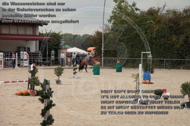 s_IMG_4311.JPG